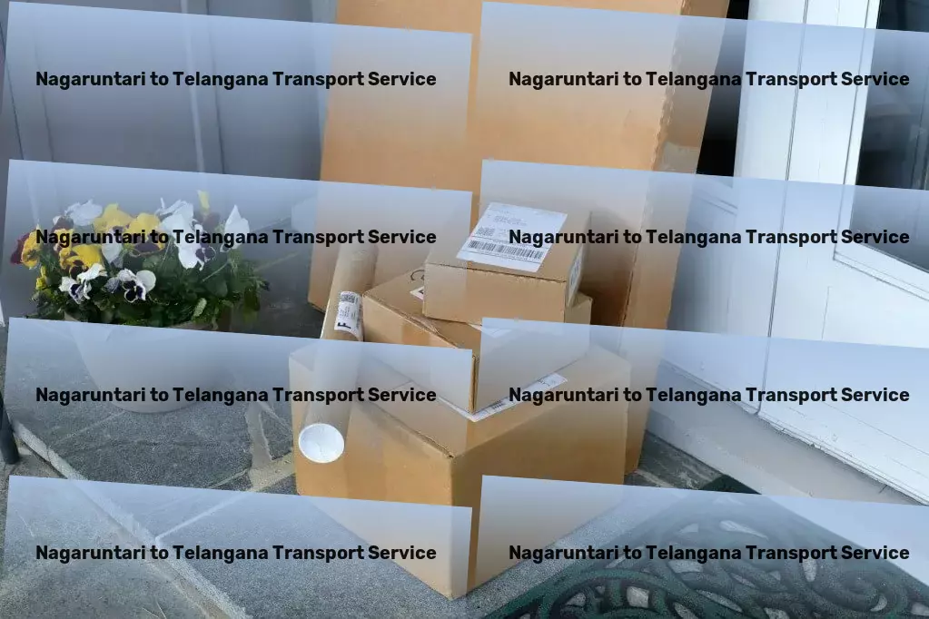 Nagaruntari to Telangana Household Goods Transport Crafted with care: The best of Indian transportation services! - Nationwide cargo shipment