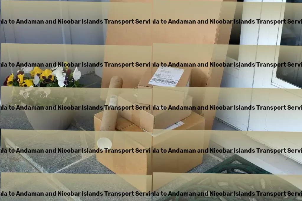 Nala to Andaman And Nicobar Islands Transport Heavy cargo delivery